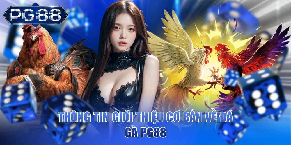 Thông tin giới thiệu cơ bản về đá gà PG88